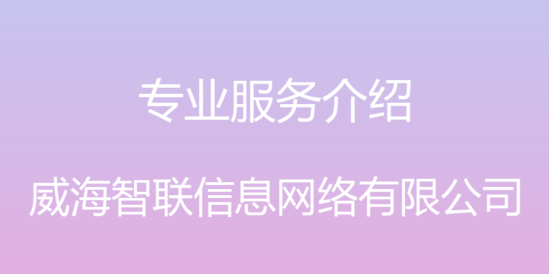 专业服务介绍 - 威海智联信息网络有限公司