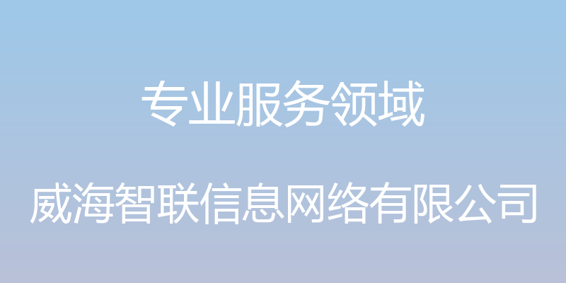 专业服务领域 - 威海智联信息网络有限公司